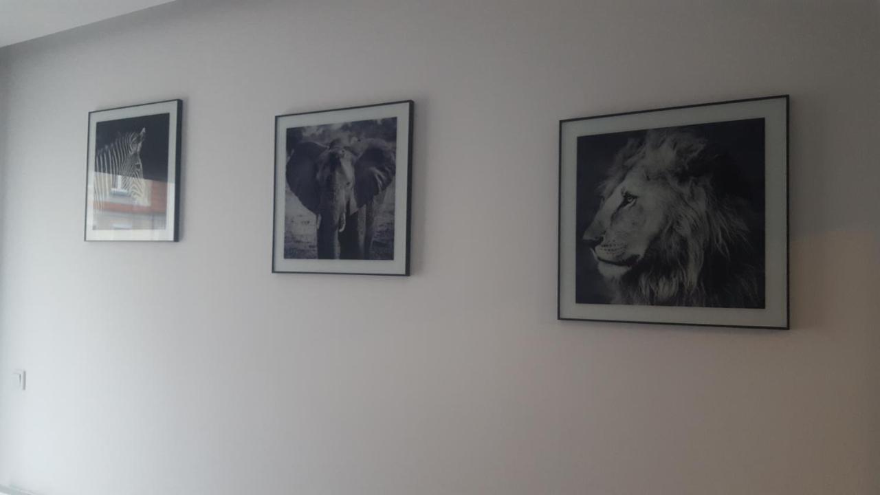 לז'נו Apartament Skarbowa 2 & Parking מראה חיצוני תמונה